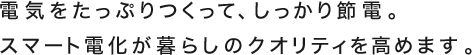 電気をたっぷりつくって、しっかり節電。スマート電化が暮らしのクオリティを高めます。